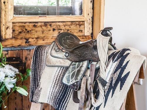 ורד הגליל- חוות סוסים